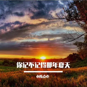 你记不记得那年夏天