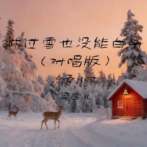 淋过雪也没能白头(发过誓也没能长久)