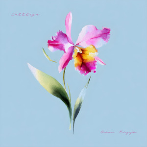 Cattleya