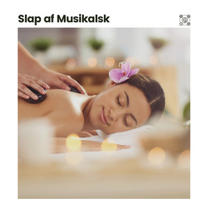 Afslapningsøjeblikke