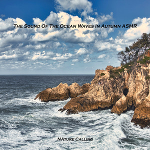 가을바다 파도소리 ASMR