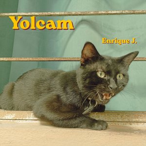 El Gato Sabio
