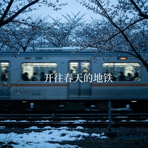 沈奕秋-开往春天的地铁（眼泪没过遗憾 remix）