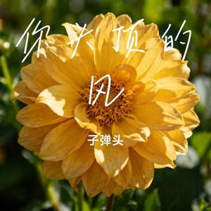 你头顶的风 (Remix)