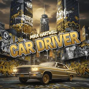 Car Driver