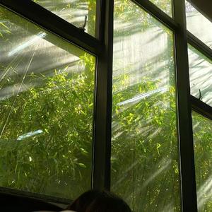 千年（dj降调版）