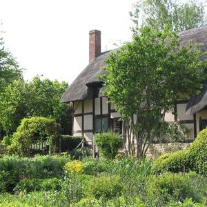 Hamnet's House (What the House Remembered)