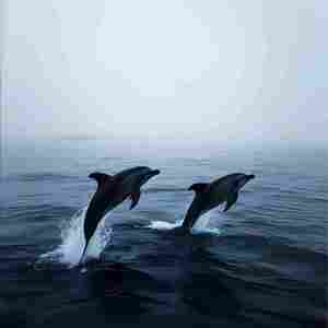 越晚心动的人越没资格挽留