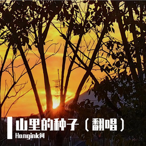 山里的种子（翻唱）