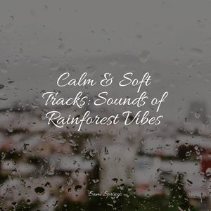 Windy, Rainy Streets