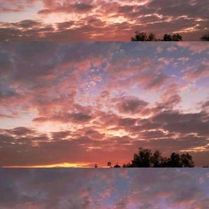 幻翠靖柔