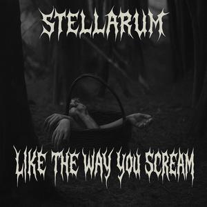 Like The Way You Scream