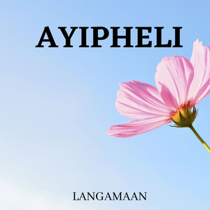 Ayipheli