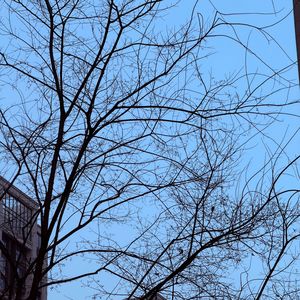 “回溯” 孟菲斯 x SASIOVERLXRD Type Beat