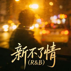 新不了情(R&B)