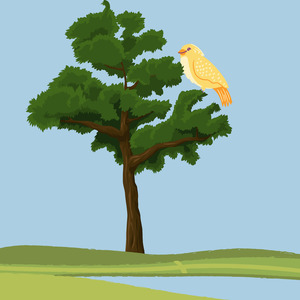 Suara Burung Trucukan Mewah