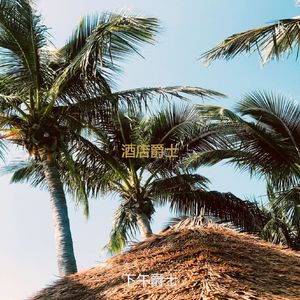 适合酒店朦胧的音乐