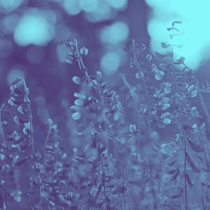 温和下班后按摩梦想