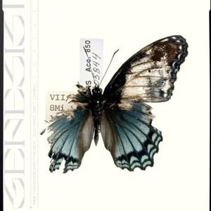 [FREE] 折翼蝶 - SASIOVERLXRD Type Beat