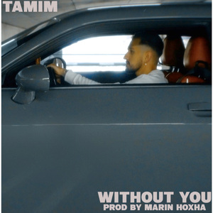 Without You