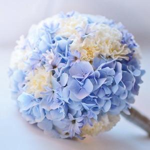 梦中的婚礼（二胡版）