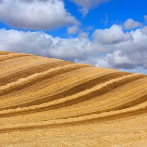 钢琴白噪音里的入眠序曲_