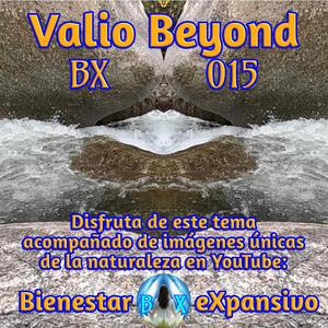 BX 015 Creando espacio