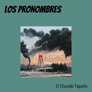 Los Pronombres