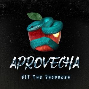 Aprovecha