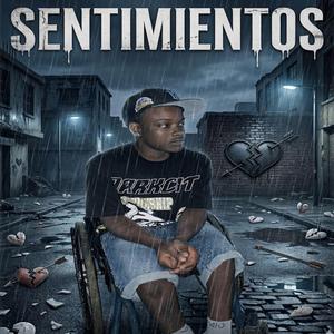 SENTIMIENTOS (feat. YAKITO EL D L Y)