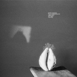 Transcender la matière