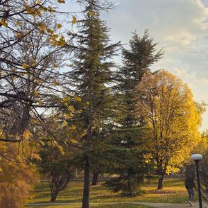 Duymuyorum O Gürültüyü