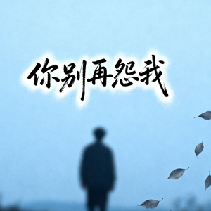 你别再怨我