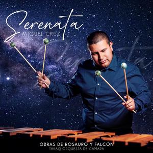 Concerto for Marimba & Strings Orchestra - Mov. 3 Dance