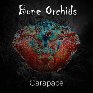 Carapace