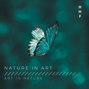 Haptisch-visuelle Erfahrungen