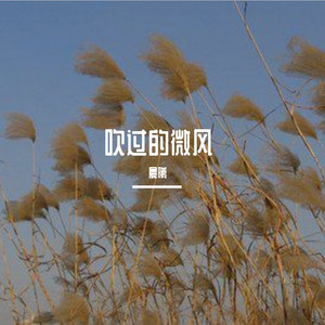 吹过的微风 伴奏
