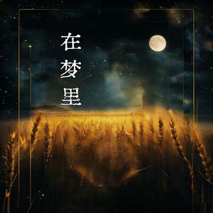 在梦里