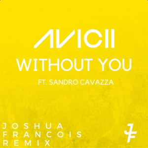 Without You (Joshua Francois Remix)