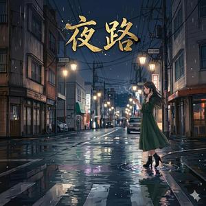 夜路