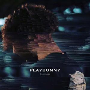 Playbunny