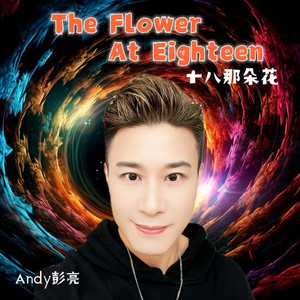 十八那朵花 (DJ舞曲)