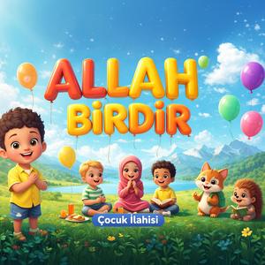 Allah Birdir