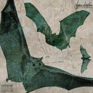 Chiroptera