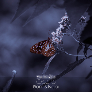 Bom & Nabi (Original Mix)