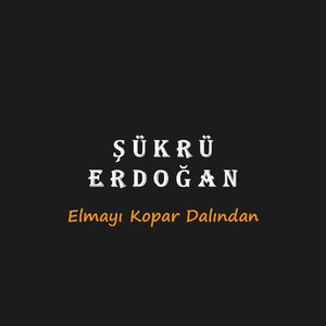 Elmayı Kopar Dalından