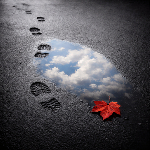 Черно-белые дни