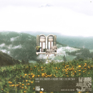 晴空，花野，白昼