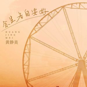 余生各自安好（Electro House)