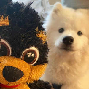 已 掉 線（Cover：ReDbuff）